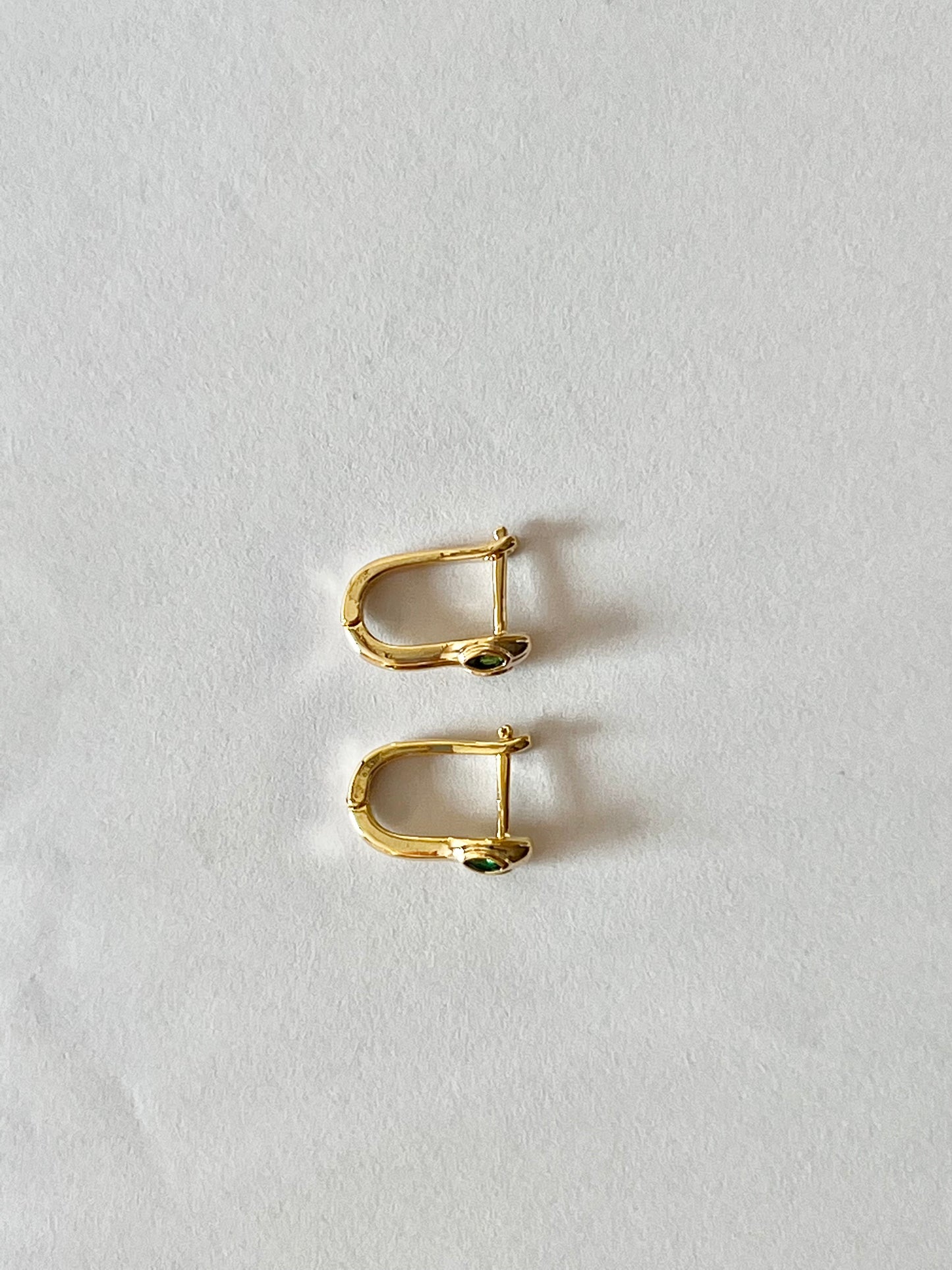 Arracadas green snake